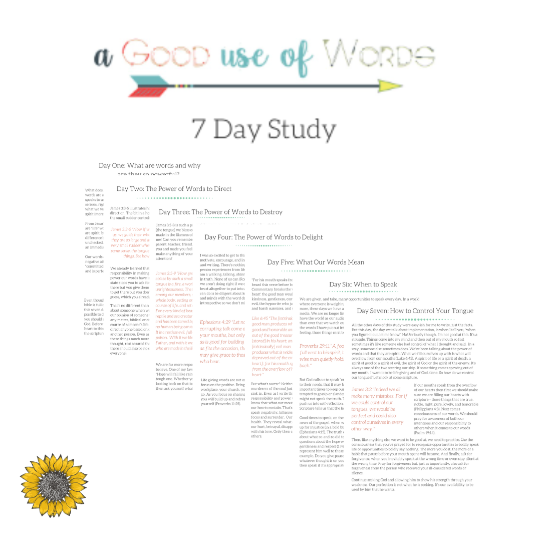 The Power of Words in the Bible + Free 7 Day Study : Faith